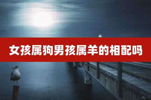 女孩属狗男孩属羊的相配吗