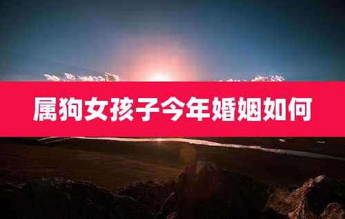 属狗女孩子今年婚姻如何