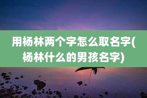 用杨林两个字怎么取名字(杨林什么的男孩名字)