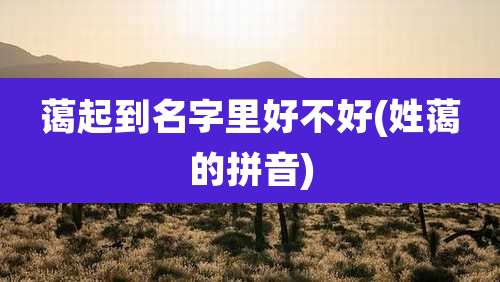 蔼起到名字里好不好(姓蔼的拼音)