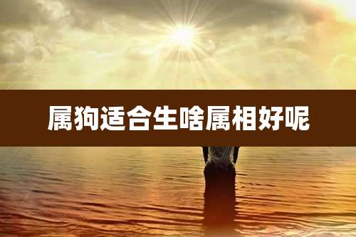 属狗适合生啥属相好呢