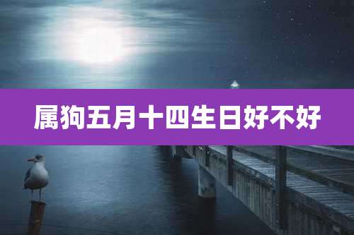 属狗五月十四生日好不好