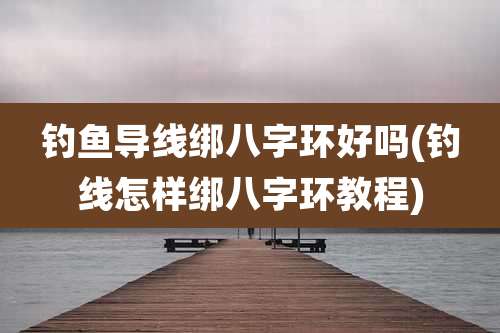 钓鱼导线绑八字环好吗(钓线怎样绑八字环教程)