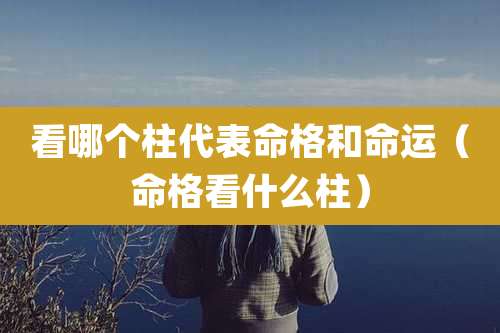 看哪个柱代表命格和命运（命格看什么柱）