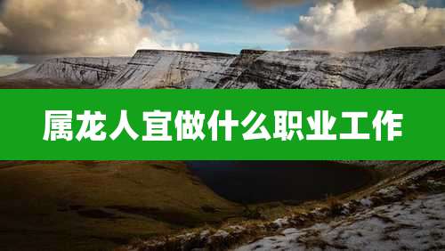 属龙人宜做什么职业工作