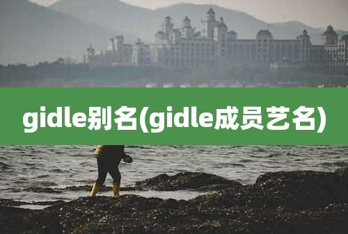 gidle别名(gidle成员艺名)