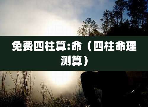 免费四柱算:命（四柱命理测算）