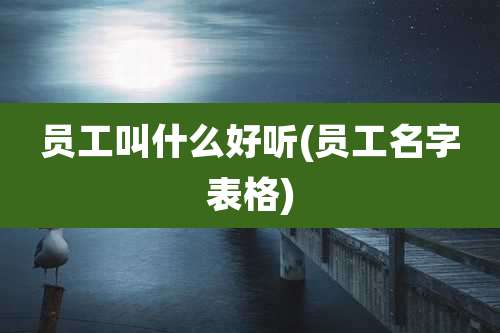 员工叫什么好听(员工名字表格)