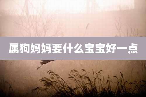 属狗妈妈要什么宝宝好一点