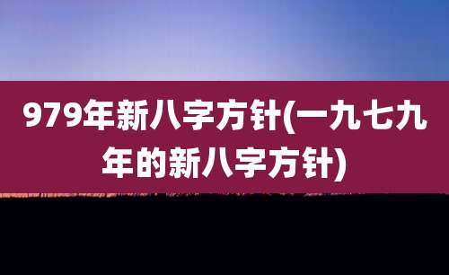 979年新八字方针(一九七九年的新八字方针)