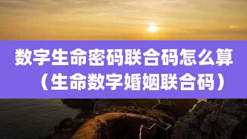 数字生命密码联合码怎么算（生命数字婚姻联合码）