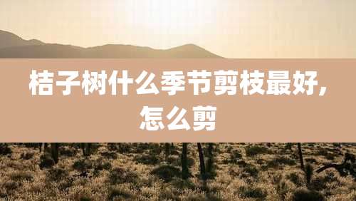 桔子树什么季节剪枝最好,怎么剪
