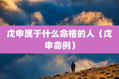 戊申属于什么命格的人（戊申命例）