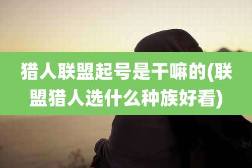 猎人联盟起号是干嘛的(联盟猎人选什么种族好看)