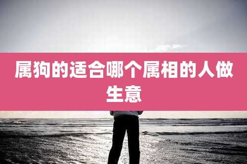 属狗的适合哪个属相的人做生意