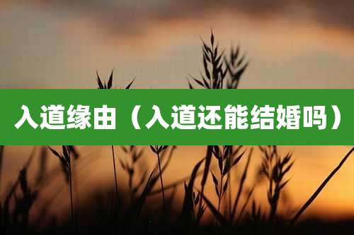 入道缘由（入道还能结婚吗）