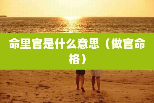 命里官是什么意思（做官命格）