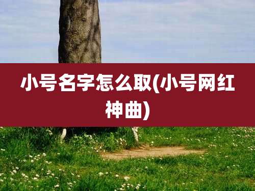 小号名字怎么取(小号网红神曲)