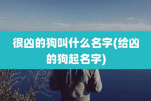 很凶的狗叫什么名字(给凶的狗起名字)