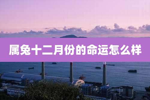 属兔十二月份的命运怎么样