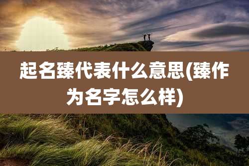 起名臻代表什么意思(臻作为名字怎么样)