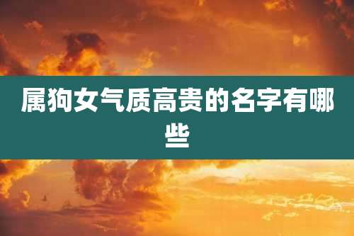 属狗女气质高贵的名字有哪些