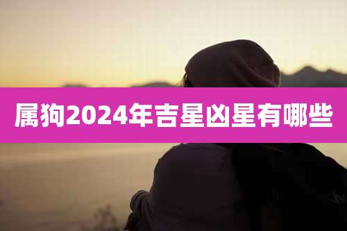 属狗2024年吉星凶星有哪些
