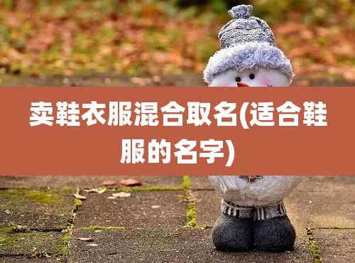 卖鞋衣服混合取名(适合鞋服的名字)