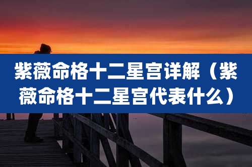 紫薇命格十二星宫详解（紫薇命格十二星宫代表什么）