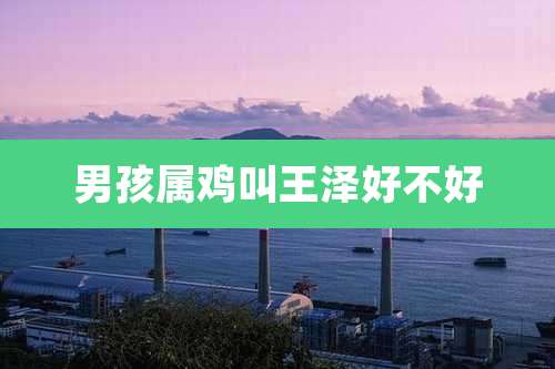 男孩属鸡叫王泽好不好