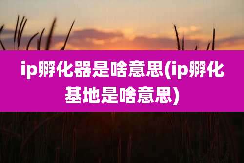 ip孵化器是啥意思(ip孵化基地是啥意思)