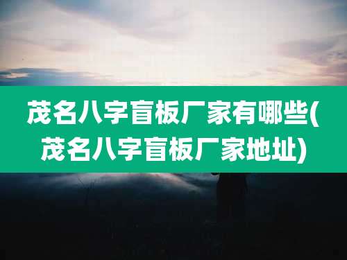 茂名八字盲板厂家有哪些(茂名八字盲板厂家地址)