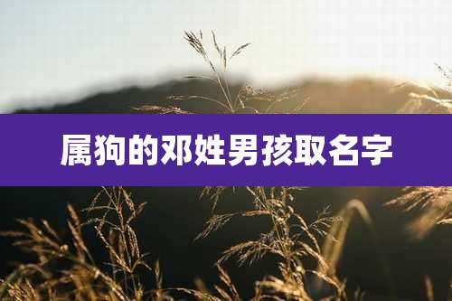 属狗的邓姓男孩取名字