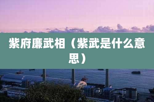 紫府廉武相（紫武是什么意思）