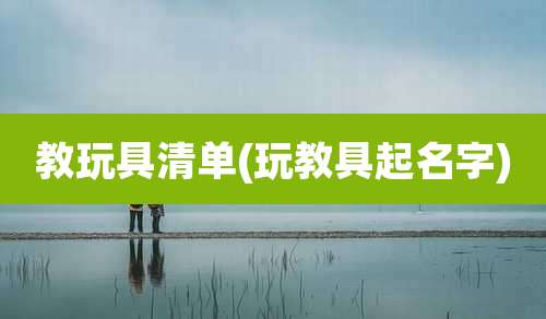 教玩具清单(玩教具起名字)