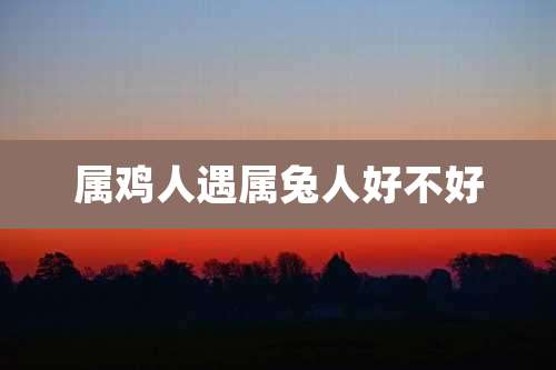 属鸡人遇属兔人好不好