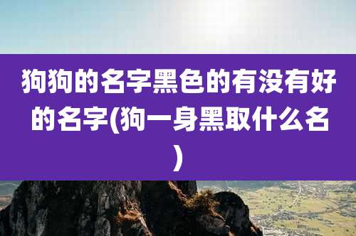 狗狗的名字黑色的有没有好的名字(狗一身黑取什么名)