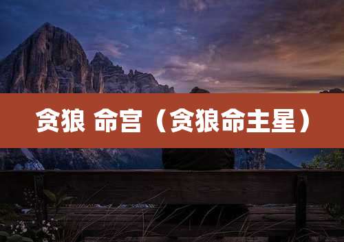 贪狼 命宫（贪狼命主星）
