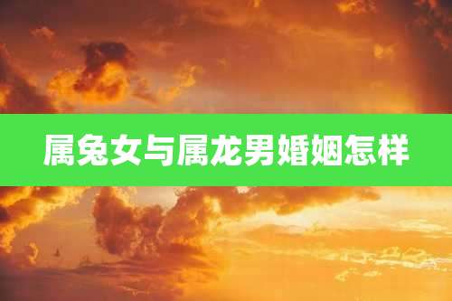 属兔女与属龙男婚姻怎样