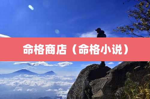 命格商店（命格小说）