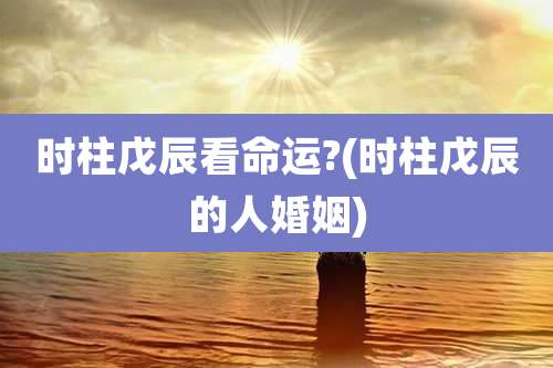 时柱戊辰看命运?(时柱戊辰的人婚姻)