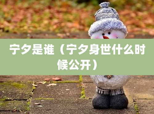 宁夕是谁（宁夕身世什么时候公开）