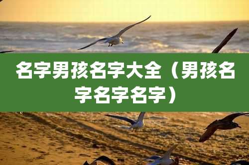 名字男孩名字大全（男孩名字名字名字）