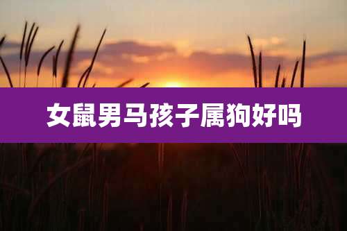 女鼠男马孩子属狗好吗
