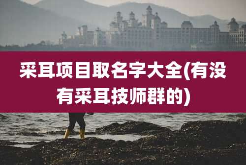 采耳项目取名字大全(有没有采耳技师群的)