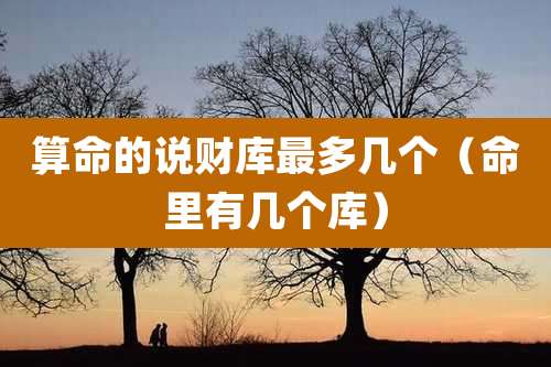 算命的说财库最多几个（命里有几个库）
