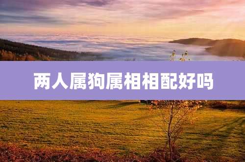 两人属狗属相相配好吗