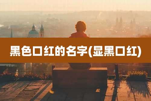 黑色口红的名字(显黑口红)