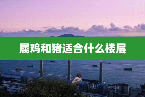 属鸡和猪适合什么楼层