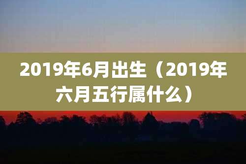 2019年6月出生（2019年六月五行属什么）